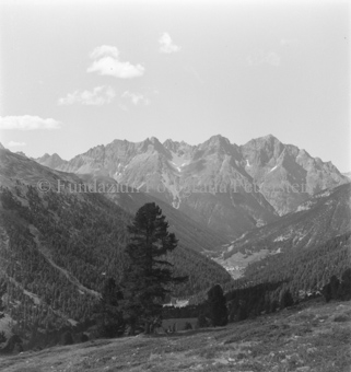 Arven an Berghang, Blick in Tal mit Dorf, Berggipfel