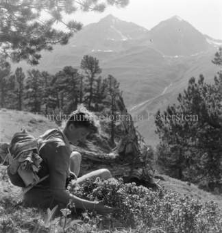 Frau mit Rucksack neben Alpenpflanze sitzend