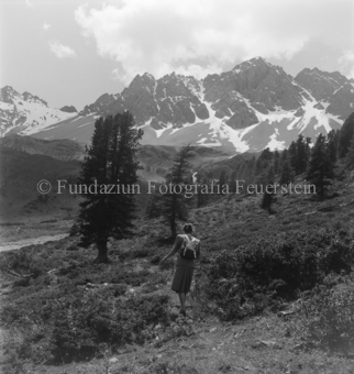 Frau mit Rucksack auf Wanderpfad, Arven und Berge im Hintergrund
