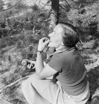 Arvenwald von Tamangur, neben Baum sitzende Frau, Tannzapfen in der Hand