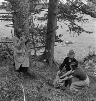 Arvenwald von Tamangur, Mann und Frau etwas aus Sack entnehmend,vor Baum stehende Frau