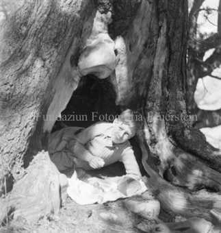 Arvenwald von Tamangur, Junge in Baumhöhle liegend