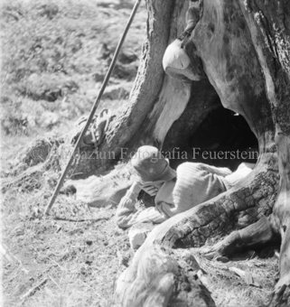 Arvenwald von Tamangur, Junge in Baumhöhle liegend