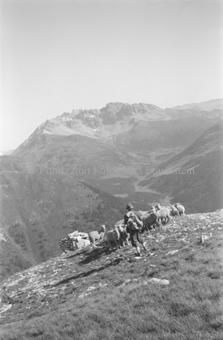 Hirte mit Schafherde, Steinplattenhaufen, Berg mit Tal