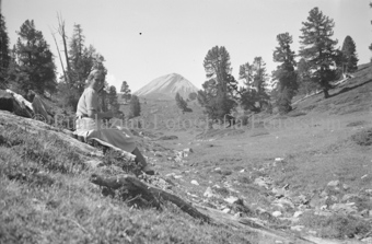 Frau an Hang sitzend, Bäume, vereinzelte Arven und Berg im Hintergrund