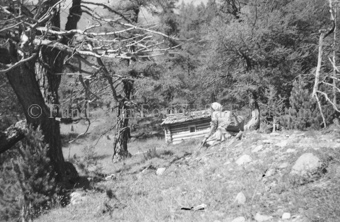 Frau auf Waldboden sitzend, hinten Blockhütte