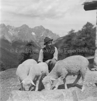 Bezeichnung Hülle: Schafe Tablasat mit Silvia und Mei, 1950