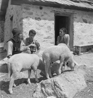 Bezeichnung Hülle: Schafe Tablasat mit Silvia und Mei, 1950
