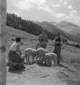 Bezeichnung Hülle: Schafe Tablasot mit Silvia und Mei, 1950