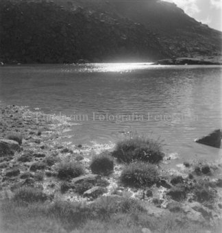 Bergseeufer mit Pflanzen, hinten Reflektion der Sonne
