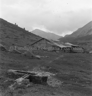 Vorne Wassertrog, hinten Stall