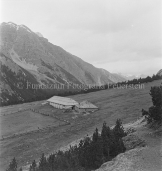 Haus und Stall, umzäunter Weide, hinten Berg