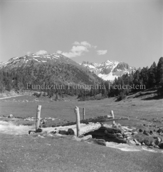 Baumstammbrücke über Bergbach, Wald und Berge hinten