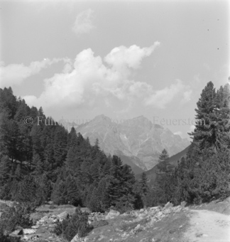 Feldweg zu Arvenwald, Berge und Wolken