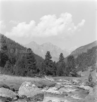 Bergbach mit Steinen, Arvenwald, Berge und Wolken