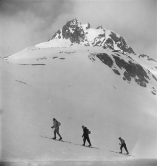 Zwei Skitourengänger, eine Skitourengängerin den Berg hinauf gehend, hinten Gipfel