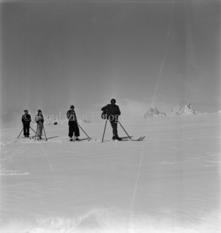 Vier Skitourengänger hintereinander, Bergzacken im Hintergrund