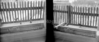 Doppelaufnahme auf Stereoplatte