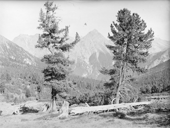 Doppelaufnahme auf Stereoplatte