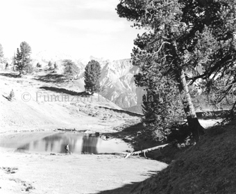 Mann mit Hund bei Bergsee