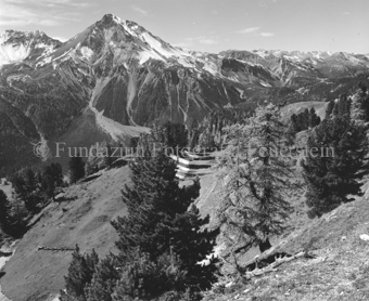 Blick auf Piz Daint von Alp da Munt