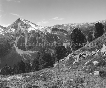 Blick auf Piz Daint von Alp da Munt