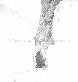 Pferd mit Schlitten auf geräumtem Weg, gesäumt von Schneemauern