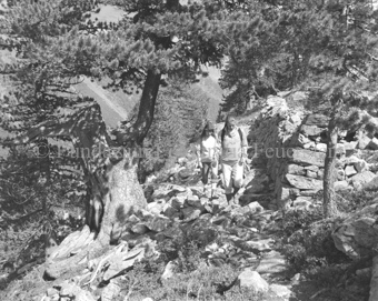 Zwei Frauen auf Weg neben Steinmauer und Arve