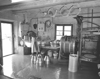 Käser im Melkraum, mit Milchkannen und Käsereigeschirr