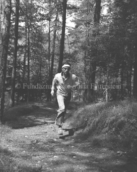Läufer auf dem Waldweg in Sportkleidung