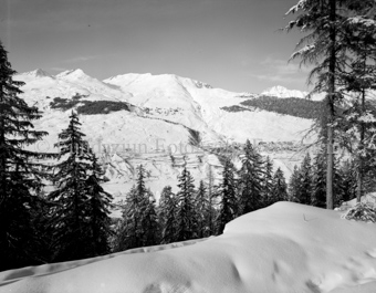 Blick auf verschneite Berglandschaft, Sent am Hang rechts, Bäume im Vordergrund