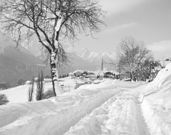 Verschneiter Weg nach Sent, links Baum