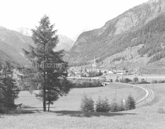 Blick auf Zernez, Bäume im Vordergrund
