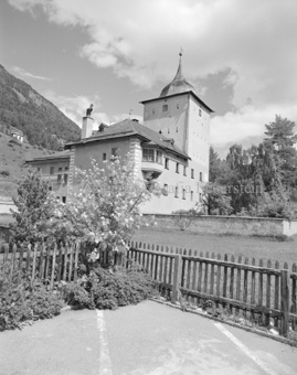 Schloss Wildenberg, Sträucher im Vordergrund