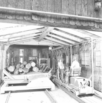 Zwei Männer bedienen Maschinen im Sägewerk, mit Baumstämmen