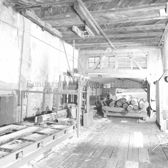 Baumstämme in Maschinen im Sägewerk, Zuschneiden
