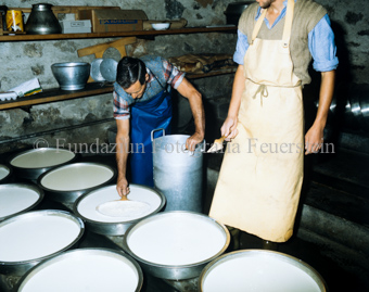 Zwei Käser schöpfen Rahm aus Milch ab