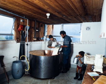 Mann und Frau giessen Milch in Rührmaschine, Kind daneben