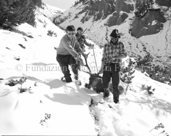 Drei Jäger packen geschossenen Hirschbock am Geweih im Schnee