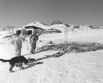 Gleitschirmflieger mit Ski breiten Schirm im Schnee aus, Bergstation Motta Naluns, Hund daneben