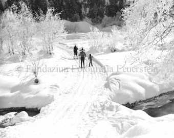 Familie mit zwei Kindern beim Langlaufen über Brücke über Bach, Sträucher mit Raureif