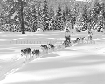 Mann und Frau führen zwei Hundeschlitten mit Huskies durch verschneiten Wald, auf einem sitzt ein Kind