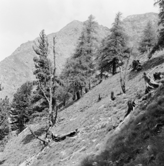steiler Berghang
