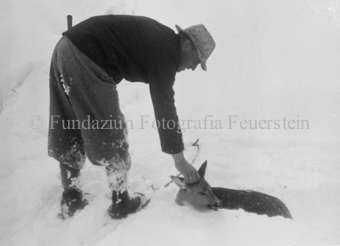 Album «Wild» Nr. 2, Serie: Wild in Not