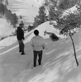 Album «Wild» Nr. 2, Serie: Wild in Not