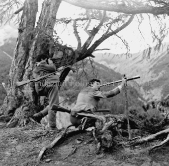 Album «Wild» Nr. 2, Serie: Gemsjagd