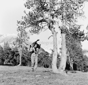 Album «Wild» Nr. 2, Serie: Gemsjagd
