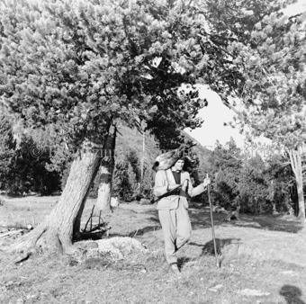 Album «Wild» Nr. 2, Serie: Gemsjagd