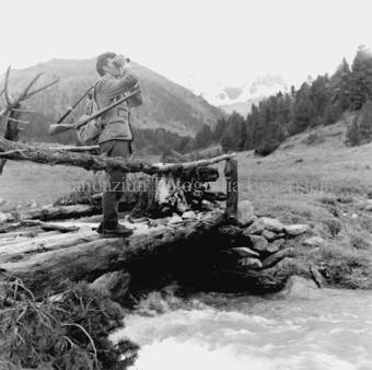 Album «Wild» Nr. 2, Serie: Gemsjagd