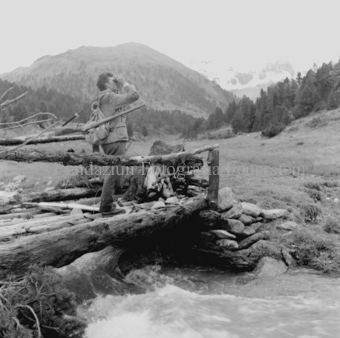 Album «Wild» Nr. 2, Serie: Hasenjagd Dezember